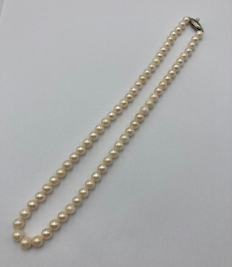 5.5~6.0mm パール ネックレス シルバー 中古 D4