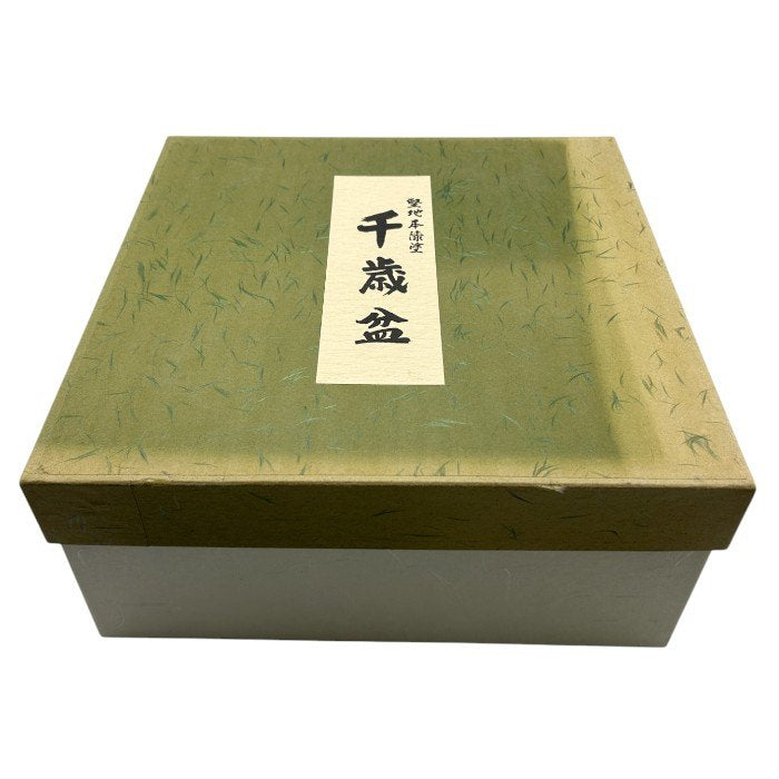 今日 千歳盆 堅地本漆塗 木製 茶道 茶道具 和風 中古 W4