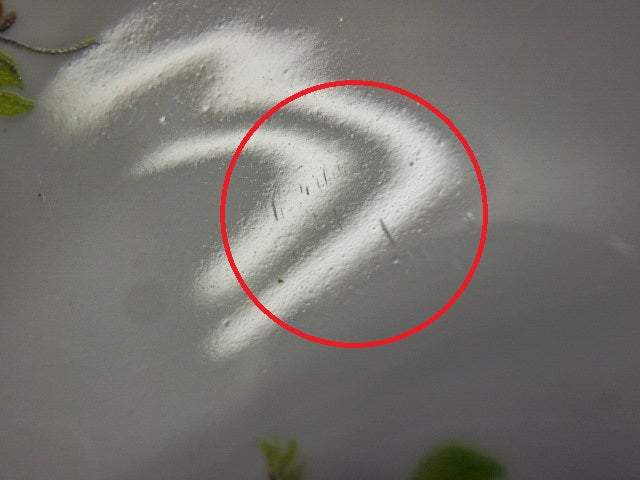 チューリンゲン 小皿5枚セット 中古 1