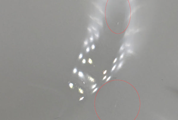 WEDGWOOD ウェッジウッド コロシアム B&Bプレート 26cm 中古 1