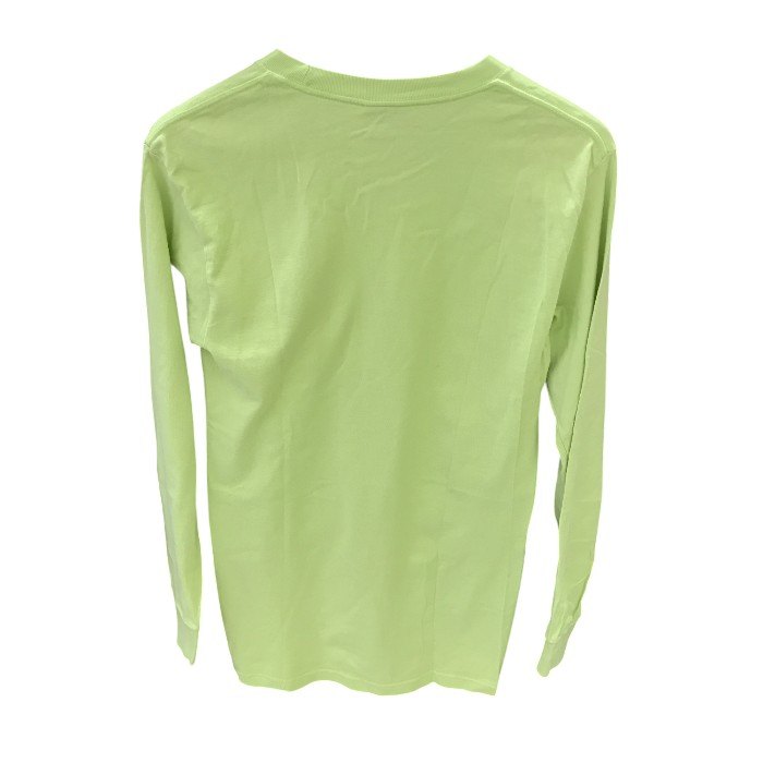STUSSY ステューシー 長袖 メンズ 秋 綿100％ ライトグリーン Sサイズ 中古 M1