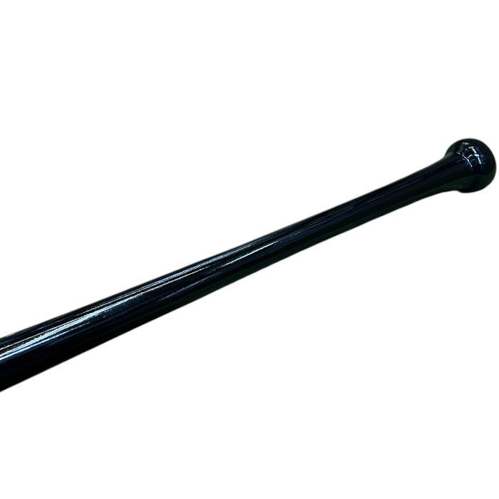 MIZUNO PRO AO ICHIRO 51 MODEL 2010 バット 硬式 ミズノプロ スポーツ 野球 ブラック 希少 イチロー 中古 W４