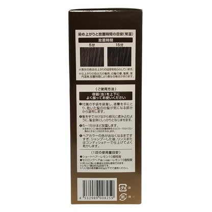 ヘアボーテエクラ ボタニカル エアカラーフォーム ダークブラウン 80g 6個セット 白髪染め 泡カラー ヘアカラー 毛染め レディース メンズ フューチャーラボ 中古 T1