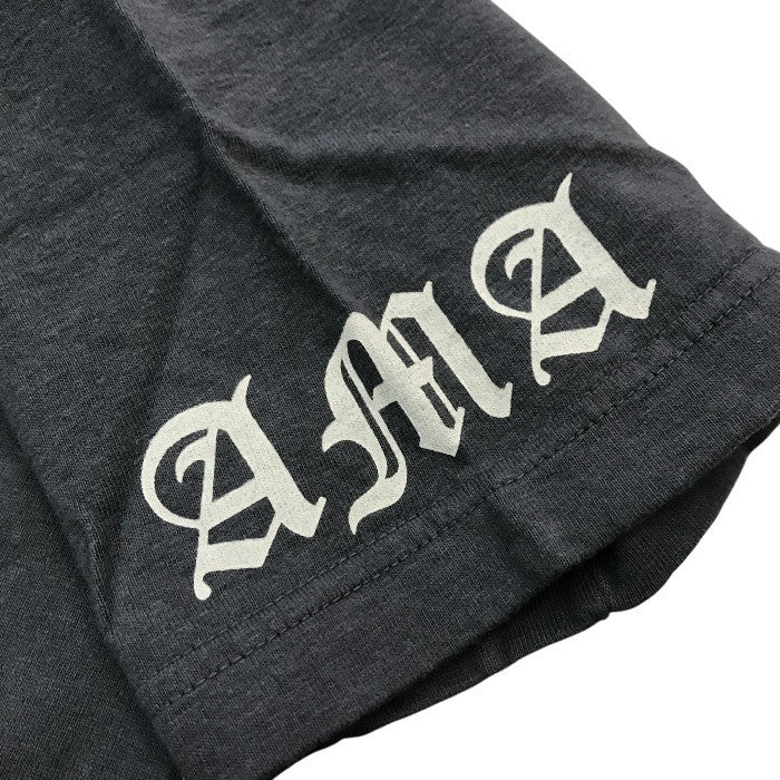 TOYS McCOY トイズマッコイ Tシャツ メンズ コットン 半袖 AMA Gypsy Tour プリント グレー Mサイズ 中古 T1