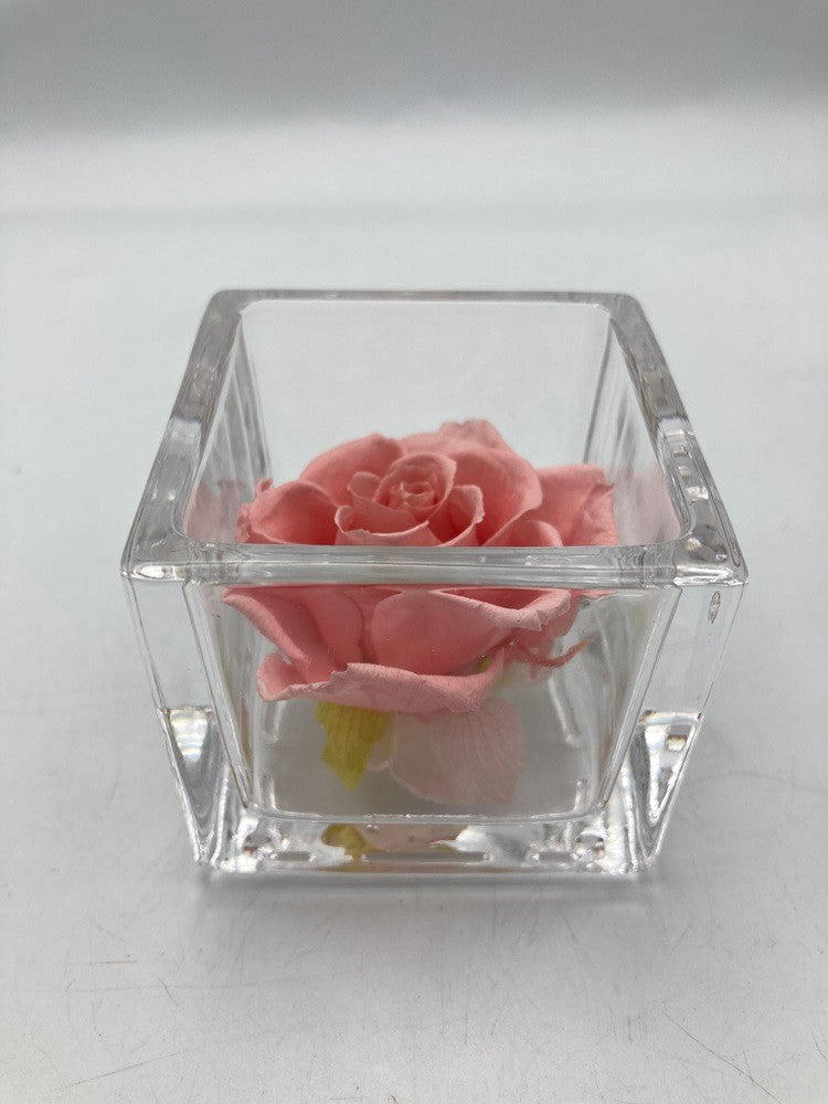 pundamilia プンダミリア プリザーブドフラワー Walk in the color 中古 D4