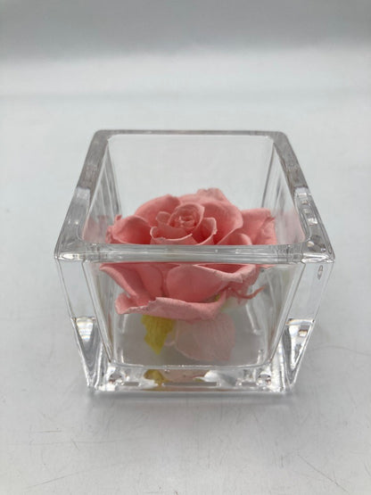 pundamilia プンダミリア プリザーブドフラワー Walk in the color 中古 D4