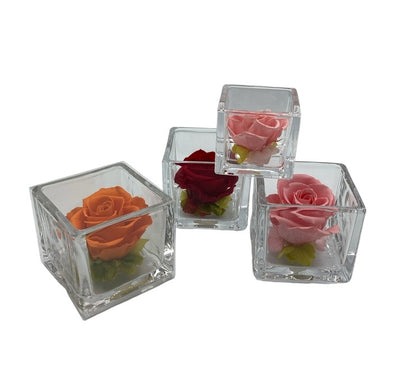 pundamilia プンダミリア プリザーブドフラワー Walk in the color 中古 D4