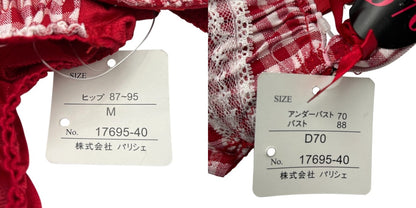 未使用品 PUG パグ petit palissee プチ パリーゼ Piace Rosso ブラジャー パンツ 4セット D70 M レディース 下着 ショーツ かわいい レース ギンガムチェック 中古 W４