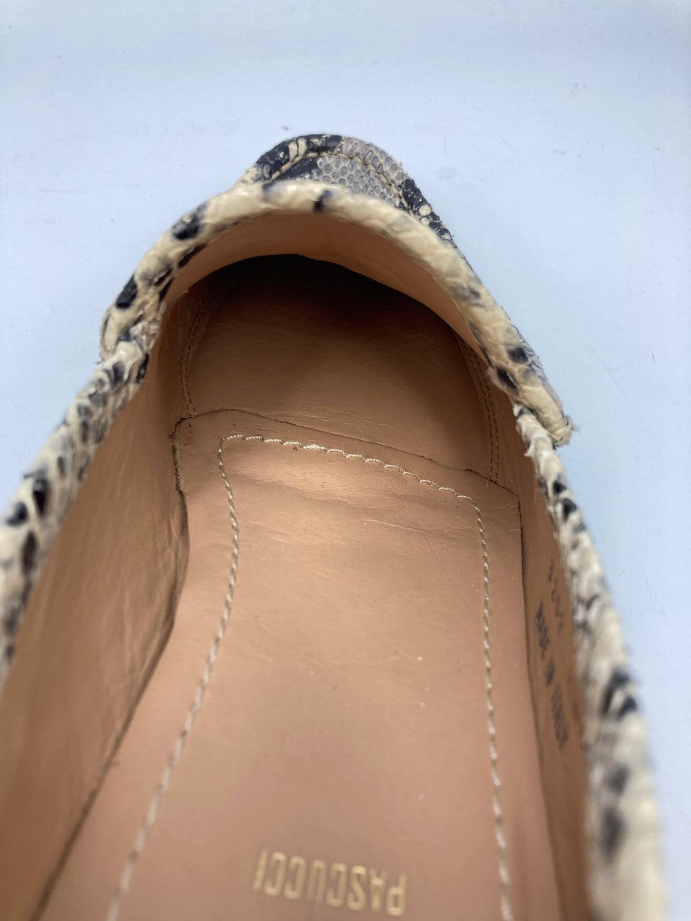 PACCUCCI パスクッチ パイソン柄 ビットローファー レディース 中古 4