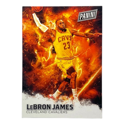 PANINI NBAカード FATHER'S DAY LEBRON JAMES CLEVELAND CAVALIERS #2 中古 IT2