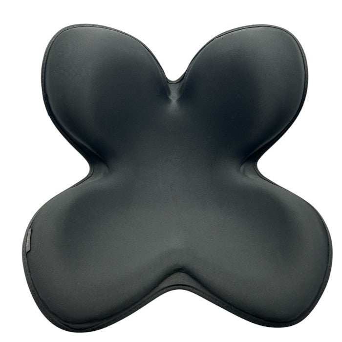 MTG Style ボディシートスタイル 骨盤サポートチェア E-1009BS-B エムティージー 姿勢矯正 骨盤矯正 中古 W４