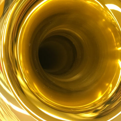 YAMAHA ヤマハ テナートロンボーン 管楽器 吹奏楽 細管 軽量 ビギナー 初心者 YSL354 中古 T1