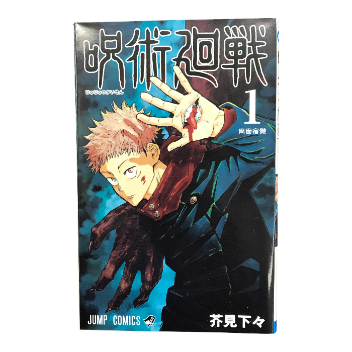 呪術廻戦 0巻～30巻 全巻セット ファンブック/小説版付き 芥見下々 ジャンプコミックス 集英社 中古 T1