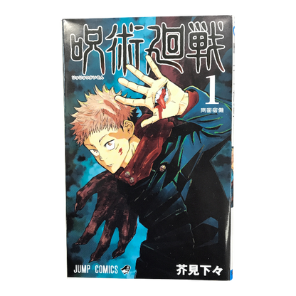 呪術廻戦 0巻～30巻 全巻セット ファンブック/小説版付き 芥見下々 ジャンプコミックス 集英社 中古 T1