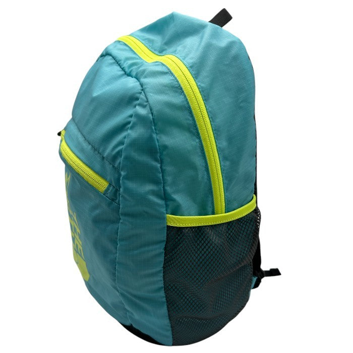 THE NORTH FACE ザ・ノースフェイス K FLYWEIGHT DAY キッズリュック マウイブルー NMJ72000 フライウェイトデイ バッグ リュックサック キッズ 子供 ミニ 小さめ 中古 W４