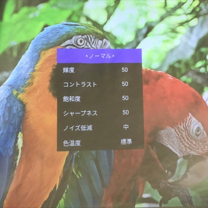 Popin Aladdin2 ポップインアラジン 照明一体型プロジェクター ホワイト シーリングライト YOUTUBE 4畳でも使用可 PA20U01DJ 中古 T1