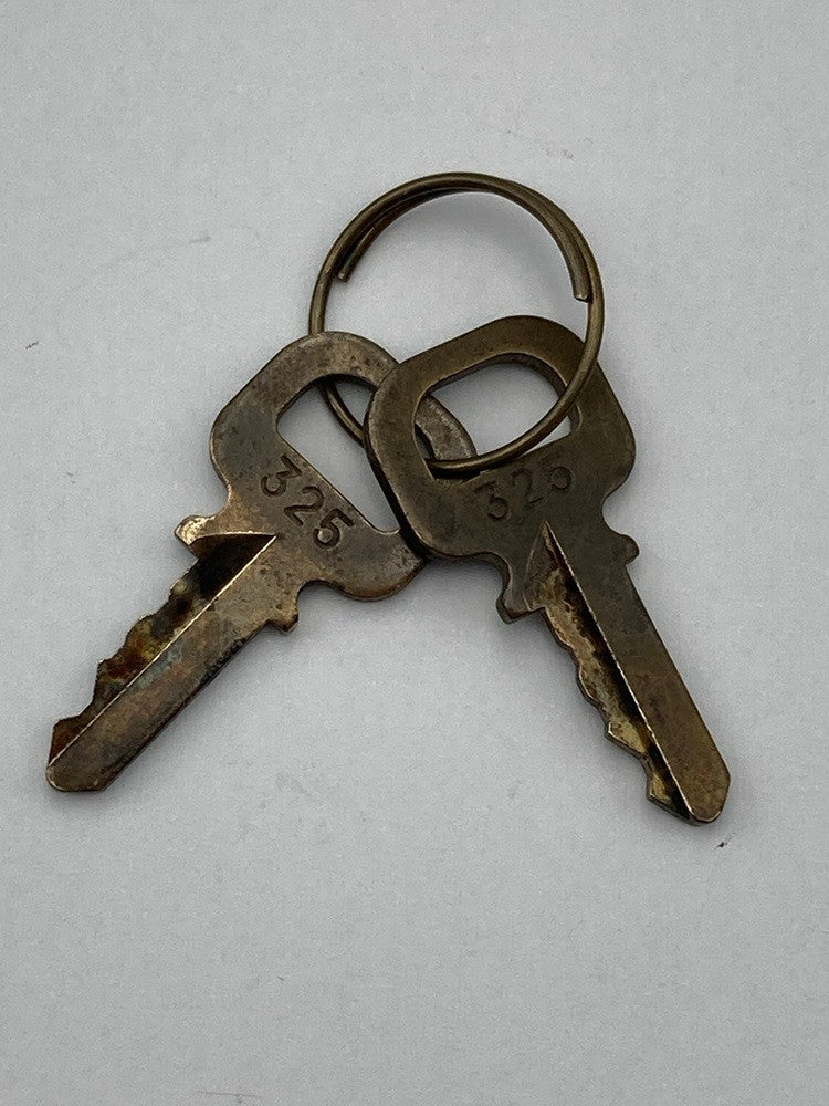 LOUIS VUITTON ルイヴィトン  パドロック 南京錠 No.325 中古 D4