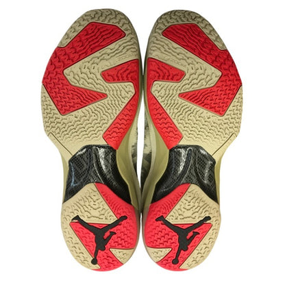 NIKE ナイキ エアジョーダン 37 プレミアム PF スニーカー メンズ バスケット AIR JORDAN ベージュ29cm FD6720-200 中古 T1