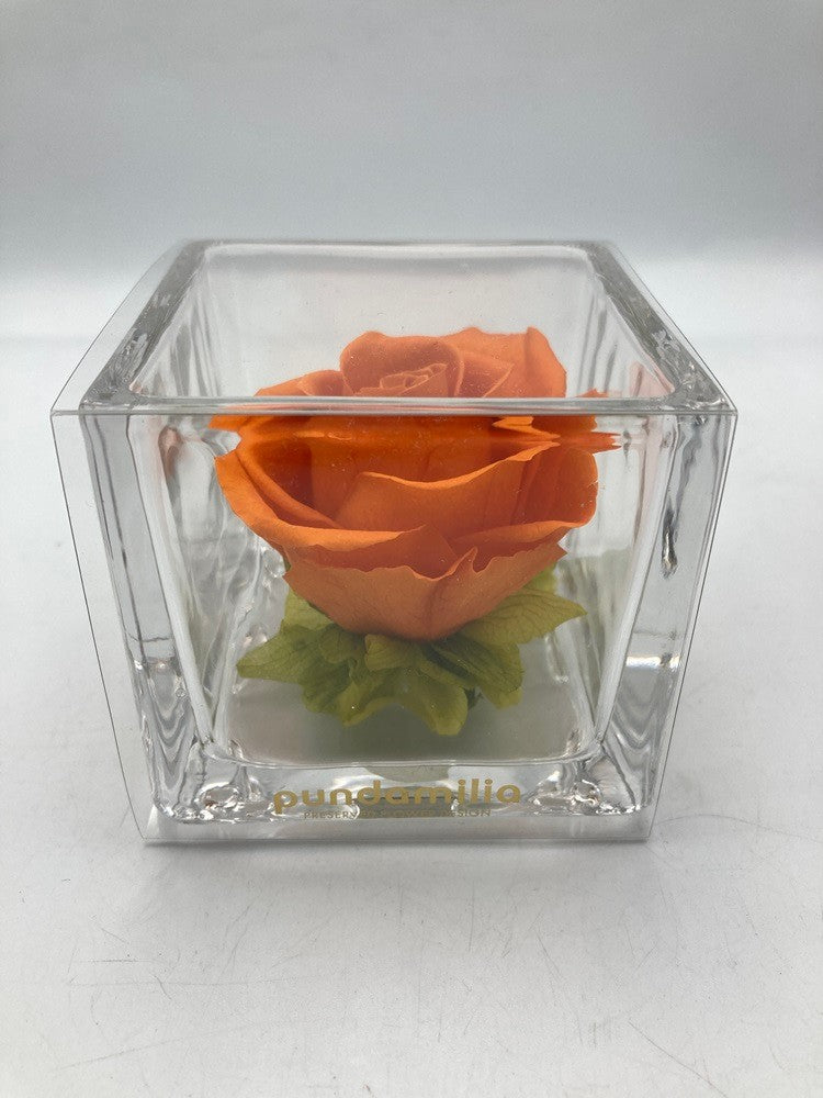 pundamilia プンダミリア プリザーブドフラワー Walk in the color 中古 D4