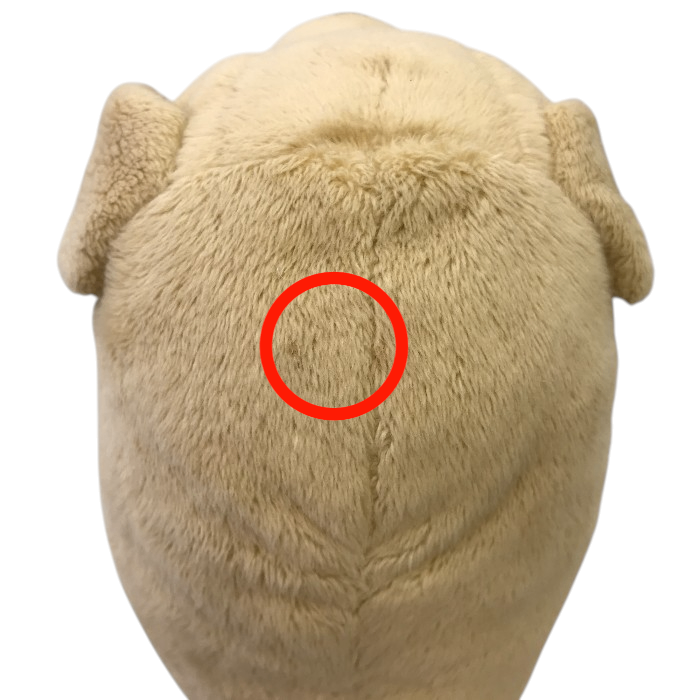 ものまねぬいぐるみ こえマネ ワンちゃん 中古 M1