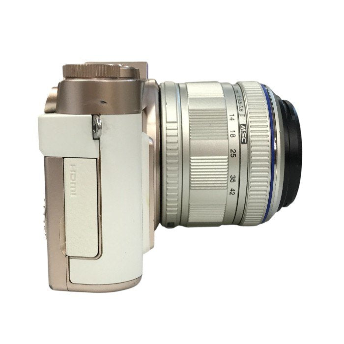 Panasonic パナソニック LUMIX デジタル一眼レフ カメラ ボディ ホワイト コンパクト 自分撮り microSD DC-GF10 中古 T1