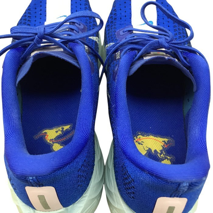 NIKE ナイキ ペガサスプラス メンズスニーカー ブルー ピンク 25.5㎝ HQ1719-400 中古 N1