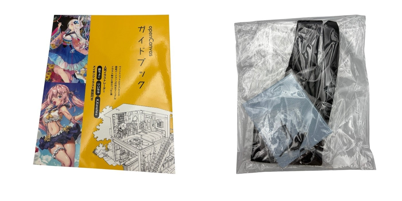 XPPen エックスピーペン Artist 13 セカンド 液晶ペンタブレット CD130FH 液タブ イラスト パソコン周辺機器 スタンド 中古 W４
