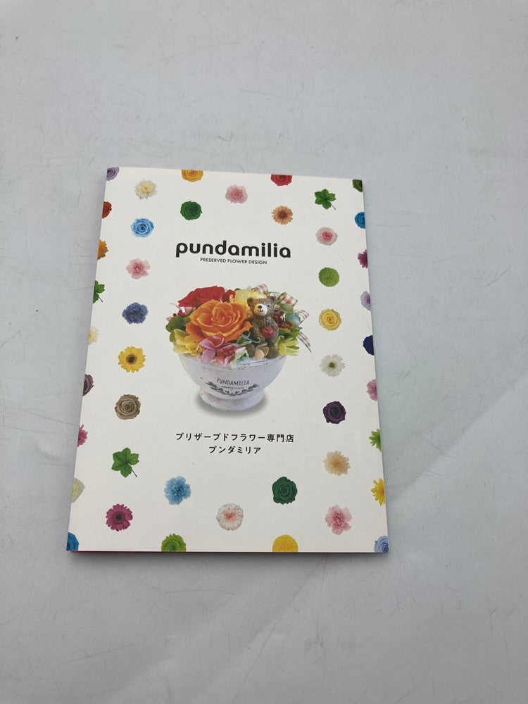 pundamilia プンダミリア プリザーブドフラワー Walk in the color 中古 D4