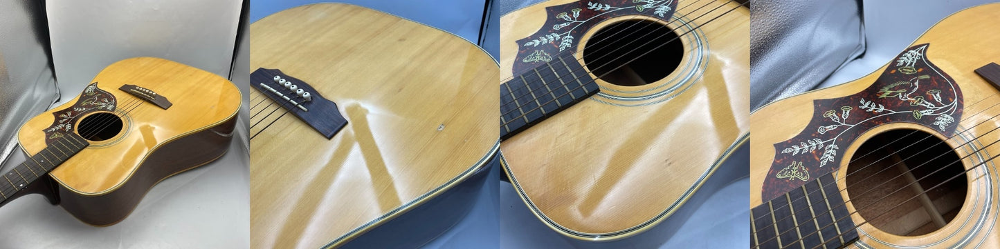 NASHVILLE アコースティックギター N-30D ナッシュビル ヴィンテージ アコギ 中古 R4