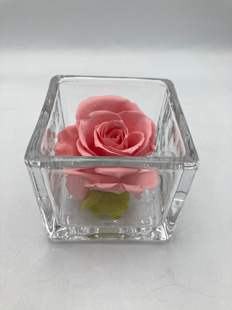 pundamilia プンダミリア プリザーブドフラワー Walk in the color 中古 D4