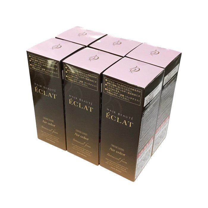 ヘアボーテエクラ ボタニカル エアカラーフォーム ダークブラウン 80g 6個セット 白髪染め 泡カラー ヘアカラー 毛染め レディース メンズ フューチャーラボ 中古 T1