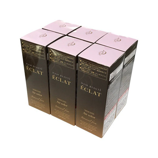 ヘアボーテエクラ ボタニカル エアカラーフォーム ダークブラウン 80g 6個セット 白髪染め 泡カラー ヘアカラー 毛染め レディース メンズ フューチャーラボ 中古 T1
