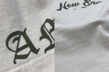 TOYS McCOY トイズマッコイ AMA 28TH NEW ENGLAND MOTORCYCLE GYPSY TOUR Tシャツ サイズM メンズ 中古 D4