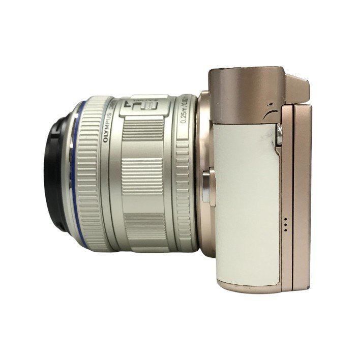 Panasonic パナソニック LUMIX デジタル一眼レフ カメラ ボディ ホワイト コンパクト 自分撮り microSD DC-GF10 中古 T1