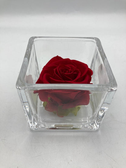 pundamilia プンダミリア プリザーブドフラワー Walk in the color 中古 D4