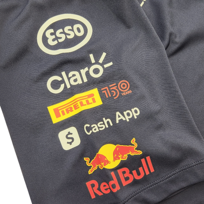 PUMA プーマ RBR Team Tシャツ メンズ 22年秋冬カラー レッドブル モータースポーツ スーパーGT F1 ナイト スカイ Lサイズ 763266 01 中古 T1