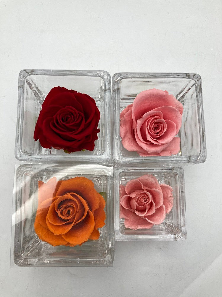 pundamilia プンダミリア プリザーブドフラワー Walk in the color 中古 D4