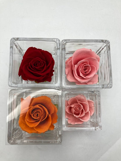 pundamilia プンダミリア プリザーブドフラワー Walk in the color 中古 D4