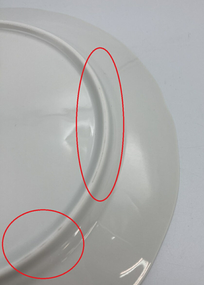 Rosenthal クラシックローズ 20cmプレート ６枚 中古  ローゼンタール 洋食器 花柄 セット 皿 ホワイト