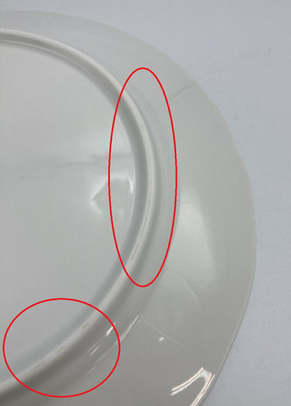 Rosenthal クラシックローズ 20cmプレート ６枚 中古  ローゼンタール 洋食器 花柄 セット 皿 ホワイト