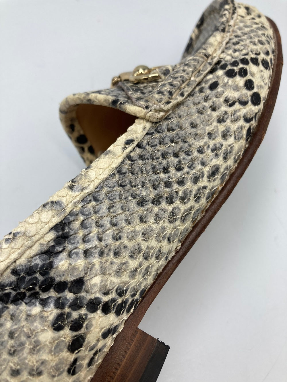 PACCUCCI パスクッチ パイソン柄 ビットローファー レディース 中古 4