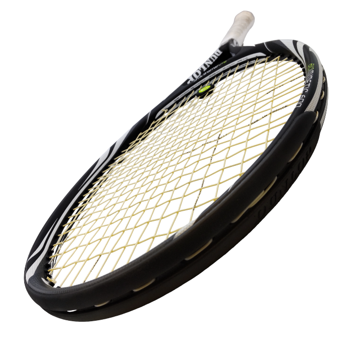DUNLOP ダンロップ バイオミメティック 600 2010年モデル 中古 4
