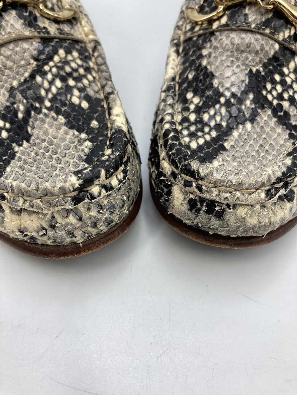 PACCUCCI パスクッチ パイソン柄 ビットローファー レディース 中古 4