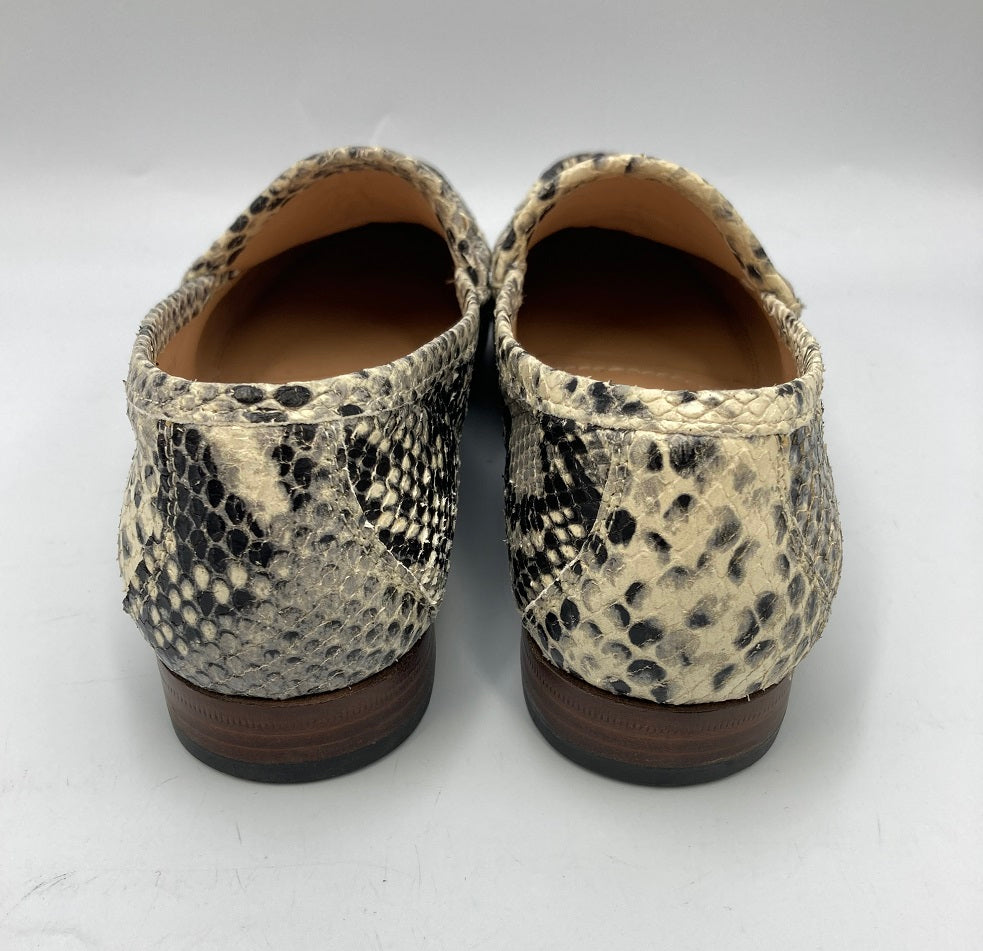 PACCUCCI パスクッチ パイソン柄 ビットローファー レディース 中古 4