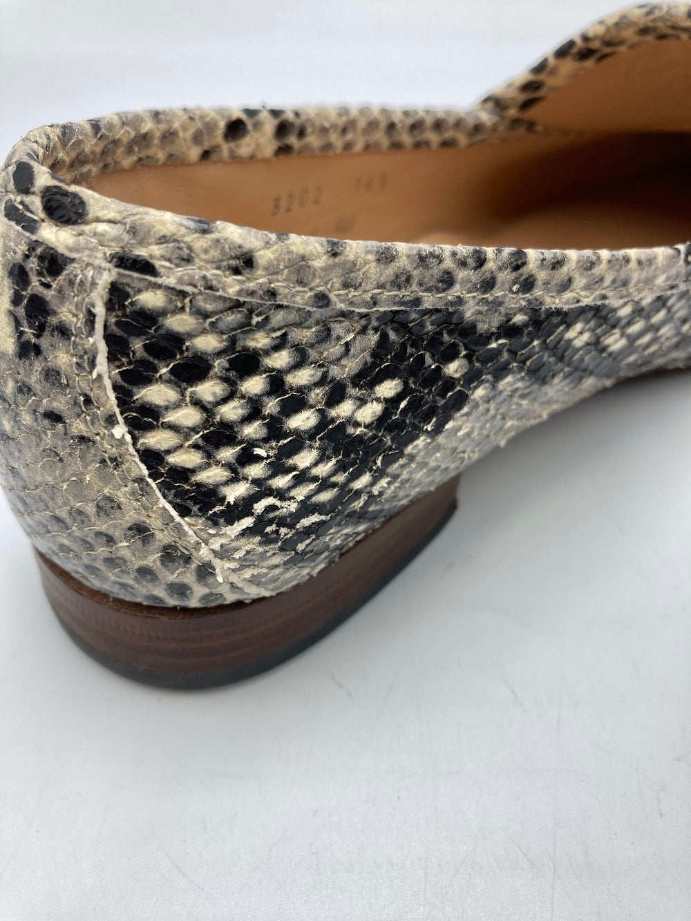 PACCUCCI パスクッチ パイソン柄 ビットローファー レディース 中古 4